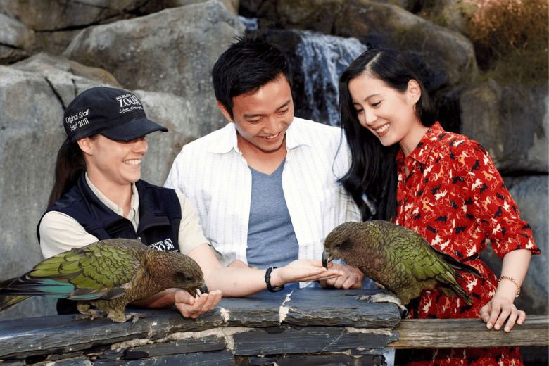 Things To Do Auckland Zoo